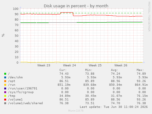 Disk usage in percent