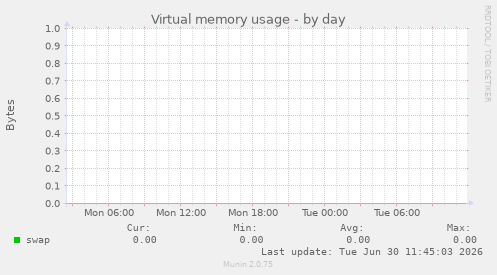 Virtual memory usage