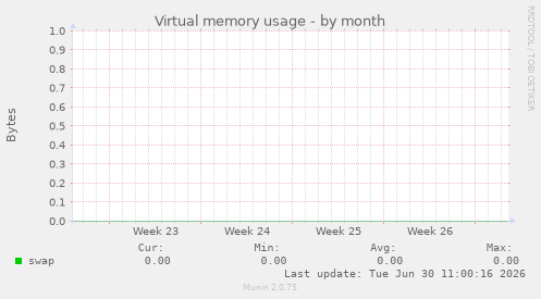 Virtual memory usage