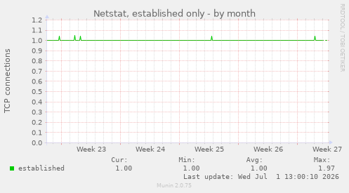 Netstat, established only