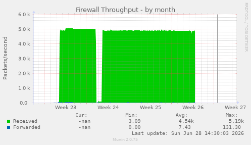 Firewall Throughput