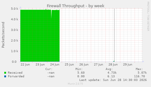 Firewall Throughput