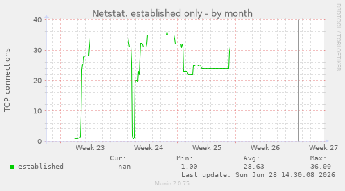 Netstat, established only